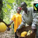 Cocoa-farming-Ghana-(credit-Gary-Roberts)