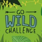 gowildchallenge-webimage