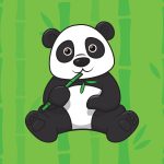 Giant-Pandas-Themed-Programme